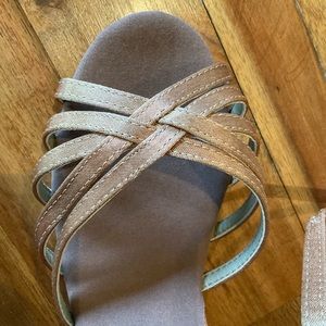 Elegant Latin Dance/Ballroom Shoes